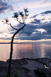 Lake Champlain, Burlington, Vermont, Neuengland, Vereinigte Staaten von Amerika, Nordamerika - RHPLF15314