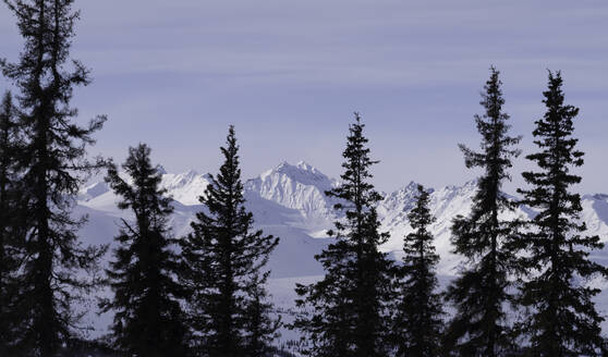 Die verschneiten Bergketten des Denali-Nationalparks im Winter, Alaska, Vereinigte Staaten von Amerika, Nordamerika - RHPLF15356