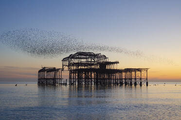 Starenmurmeln über dem West Pier bei Sonnenuntergang, Brighton, Sussex, England, Vereinigtes Königreich, Europa - RHPLF15367