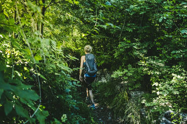 Frau mit Rucksack beim Wandern inmitten von Bäumen und Pflanzen im Wald, Lecco, Italien - MCVF00430