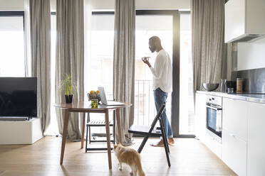 Mann, der in einer modernen Wohnung vor der Balkontür steht und ein Smartphone benutzt - AHSF02733