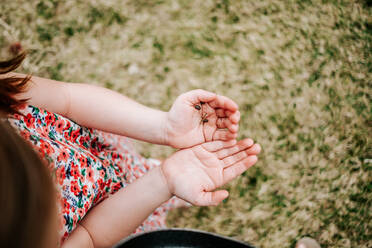 Cropped image of young girl holding bugs in her hands - CAVF85091