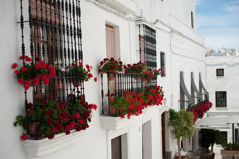 Rote Blumen auf Balkonen in einem weißen Dorf in Spanien - CAVF85139