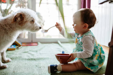 Seitenansicht des Mädchens Fütterung Hund zu Hause - EYF05692