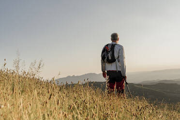 Älterer Mann im Ruhestand steht bei Rohrkolbenpflanzen und betrachtet die Landschaft bei Sonnenuntergang - AFVF06678