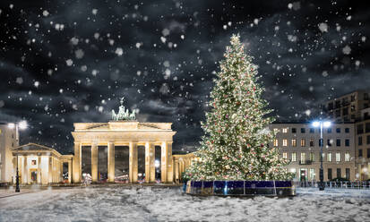 Beleuchteter Weihnachtsbaum am Brandenburger Tor - EYF05829