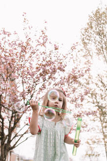 Blowing bubbles in the cherry blossoms - CAVF85227