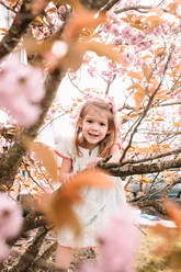 Toddler girl climbing magnolia tree in the spring - CAVF85231