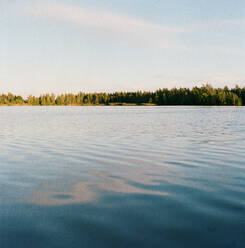 Calm lake near the forest - CAVF85280