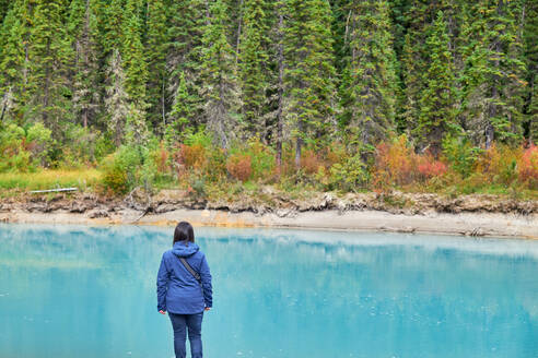 Rückansicht einer Frau, die im Banff National Park steht und die Aussicht betrachtet - CAVF85361