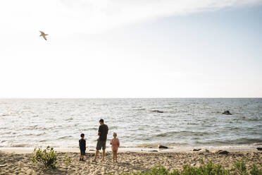 Family enjoying at beach against sky - JVSF00005