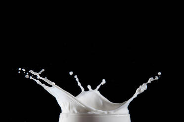 Milk Splashing Against Black Background - EYF05969