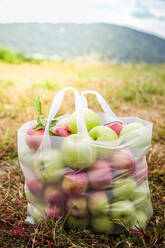 Close-Up Of Fruits In Bag On Field - EYF06030