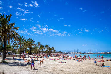 Menschen genießen am Strand gegen blauen Himmel - EYF06319