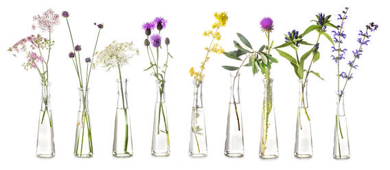 Nahaufnahme von bunten Blumen in Vasen vor weißem Hintergrund - EYF06456