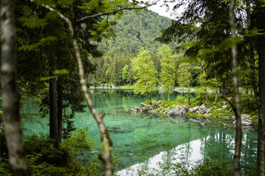 Italien, Provinz Udine, Tarvisio, Türkisfarbenes Ufer des Fusine-Sees - GIOF08408