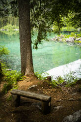 Italien, Provinz Udine, Tarvisio, Einfache Holzbank am Ufer des Fusine-Sees - GIOF08410