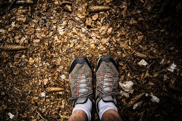 Füße eines Mannes in Wanderstiefeln auf dem Waldboden - GIOF08412