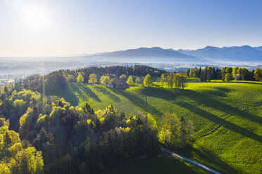 Germany, Bavaria, Buchberg, Drone view of green countryside landscape at foggy springtime sunrise - SIEF09898