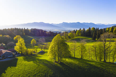 Deutschland, Bayern, Buchberg, Drohnenansicht einer grünen Landschaft bei nebligem Frühlings-Sonnenaufgang - SIEF09899
