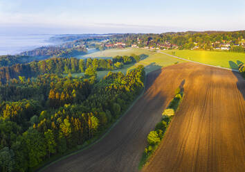 Deutschland, Bayern, Icking, Drohne Blick auf Landschaft Feld in der Morgendämmerung - SIEF09907