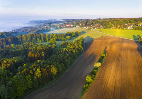 Deutschland, Bayern, Icking, Drohne Blick auf Landschaft Feld in der Morgendämmerung - SIEF09907