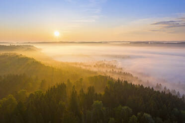 Germany, Bavaria, Icking, Drone view of countryside forest at foggy sunrise - SIEF09908