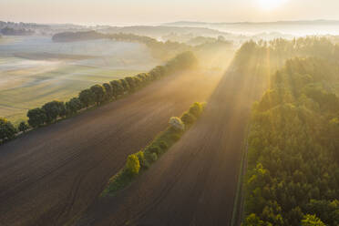 Deutschland, Bayern, Icking, Drohnenansicht eines ländlichen Feldes bei nebligem Sonnenaufgang - SIEF09909