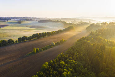 Deutschland, Bayern, Icking, Drohnenansicht eines ländlichen Feldes bei nebligem Sonnenaufgang - SIEF09910