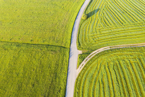 Germany, Bavaria, Icking, Drone view of country road stretching between green countryside fields - SIEF09913
