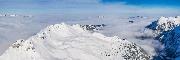 Deutschland, Bayern, Panorama des schneebedeckten Gipfels des Nebelhorns - WGF01336