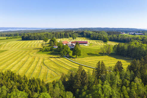 Germany, Bavaria, Oed, Drone view of small countryside hamlet surrounded by oilseed rape fields in spring - SIEF09928