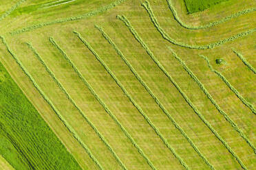 Drohnenansicht eines grün gemähten Feldes im Frühling - SIEF09929