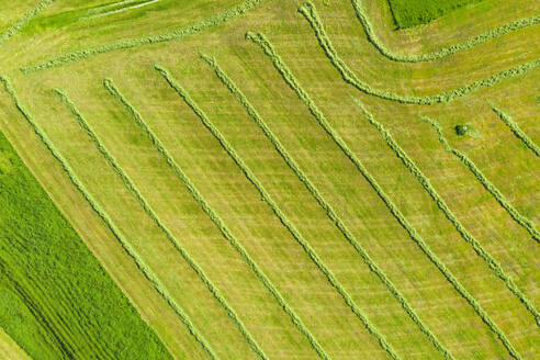 Drone view of green mowed field in spring - SIEF09929