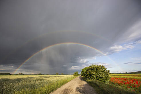 Doppelter Regenbogen über Feldern - ASCF01394