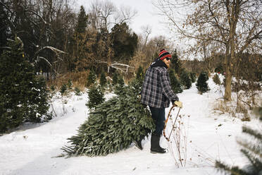 Mann beim Ziehen eines Weihnachtsbaums auf schneebedecktem Boden im Wald - JVSF00015