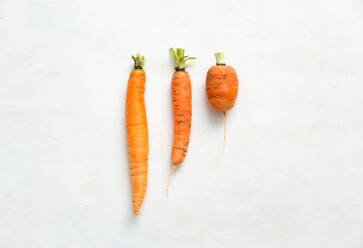 Directly Above Shot Of Carrots On White Background - EYF06625