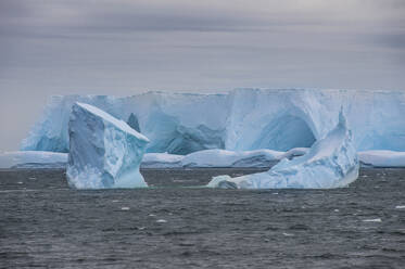 Eisberg schwimmt nahe der Küste von Elephant Island - RUNF03588