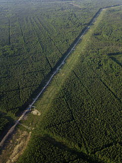 Russland, Oblast Leningrad, Tichwin, Luftaufnahme von Strommasten inmitten eines abgeholzten Gebiets - KNTF04695