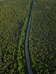 Russia, Leningrad Oblast, Tikhvin, Aerial view of asphalt road cutting through vast green forest - KNTF04701