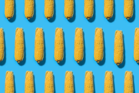 Pattern of corns against blue background stock photo