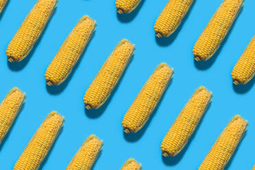 Pattern of corns against blue background - FLMF00246