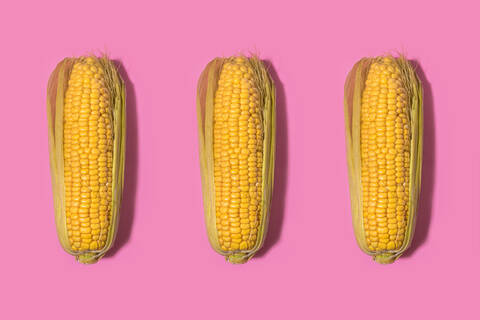 Studio shot of three corns against pink background stock photo