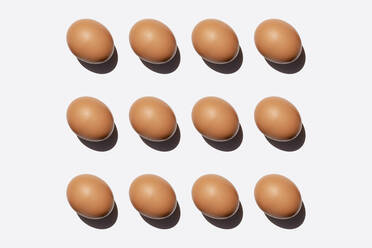 Pattern of chicken eggs against white background - GEMF03878