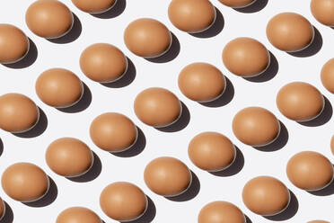 Pattern of chicken eggs against white background - GEMF03879