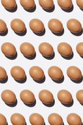 Pattern of chicken eggs against white background - GEMF03880