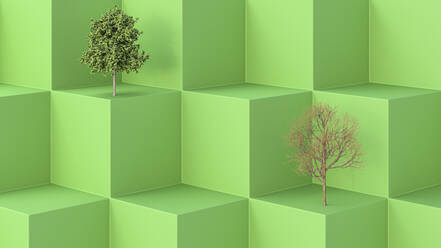 Dreidimensionales Rendering von einem grünen und einem kahlen Baum auf grünen Würfeln - AHUF00605