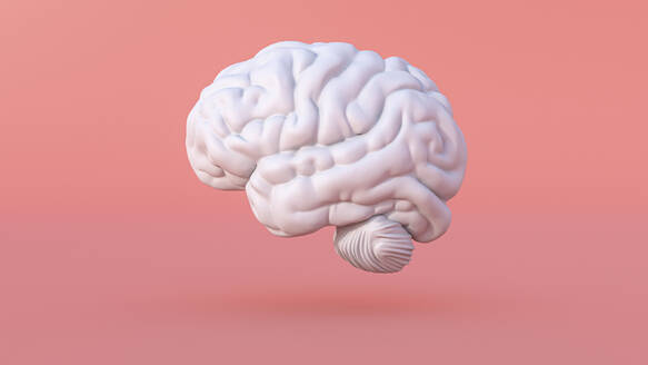 Three dimensional render of human brain - AHUF00609