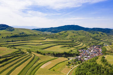 Deutschland, Baden-Württemberg, Vogtsburg, Luftaufnahme eines Dorfes auf dem Lande, umgeben von den terrassenförmigen Hügeln des Kaiserstuhls - WDF06056