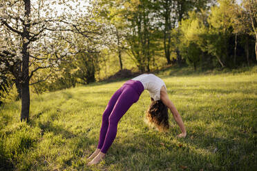 Woman practicing wheel pose on grassy land in park - DAWF01641